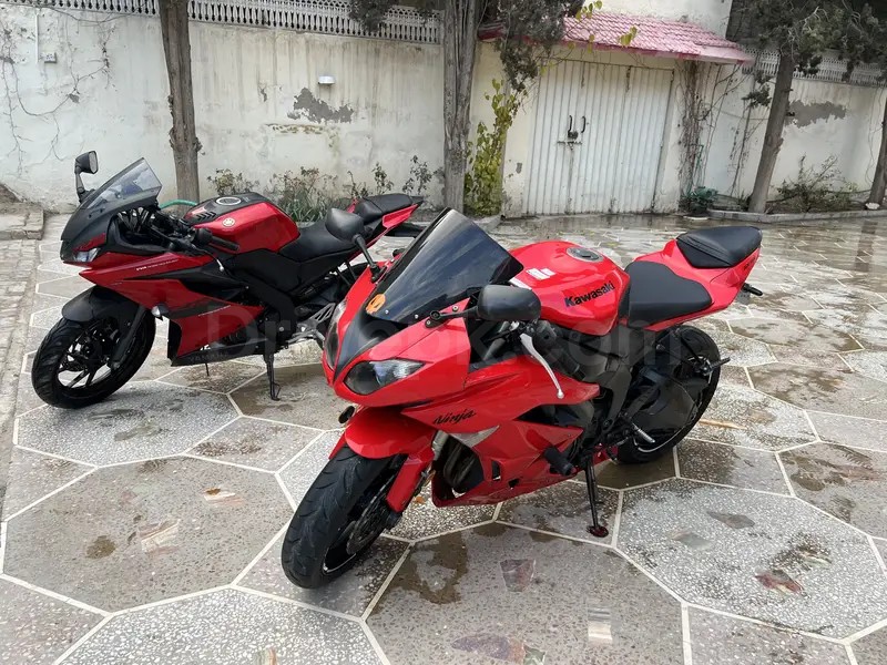 Kawasaki Ninja 2010