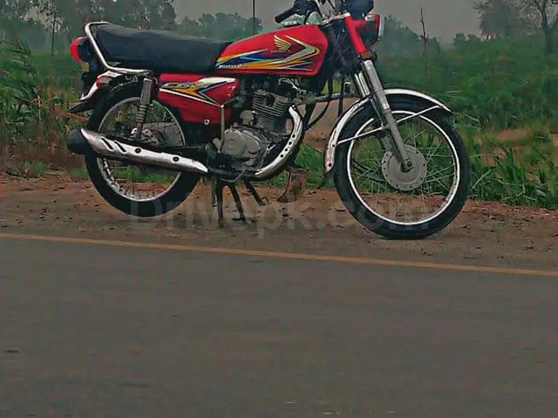 Gallery Image 4