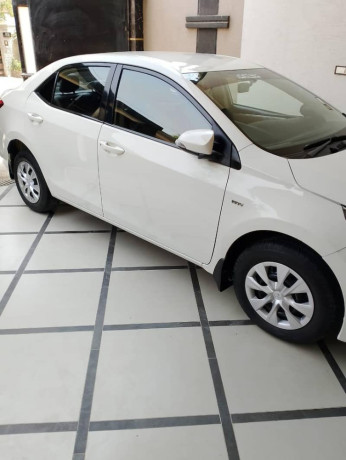 Corolla 2015 GLI manual bumper to bumper original guranted antique