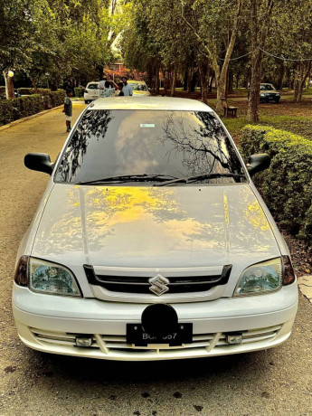 Suzuki cultus