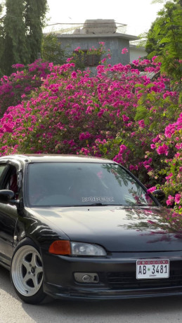 Honda Civic 1995 Dolphin Neptuned