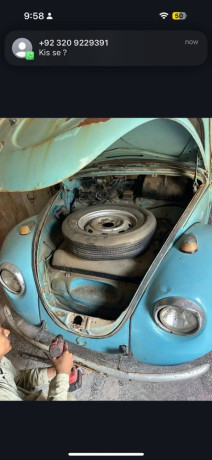 Beetle economy model