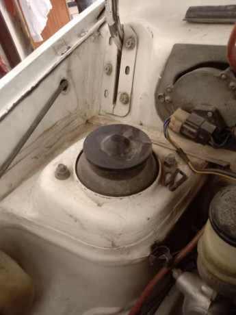 CNG + Petrol average 19