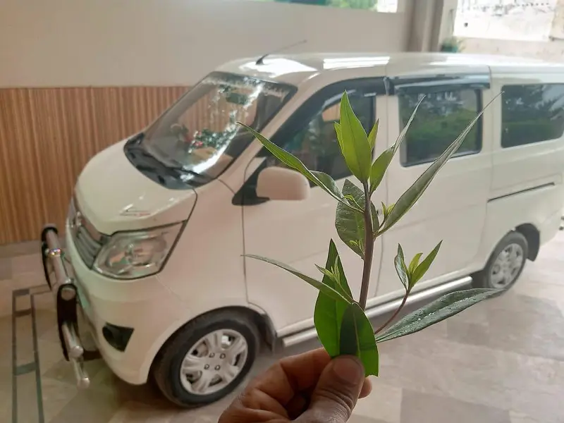 Changan Karvaan 2022