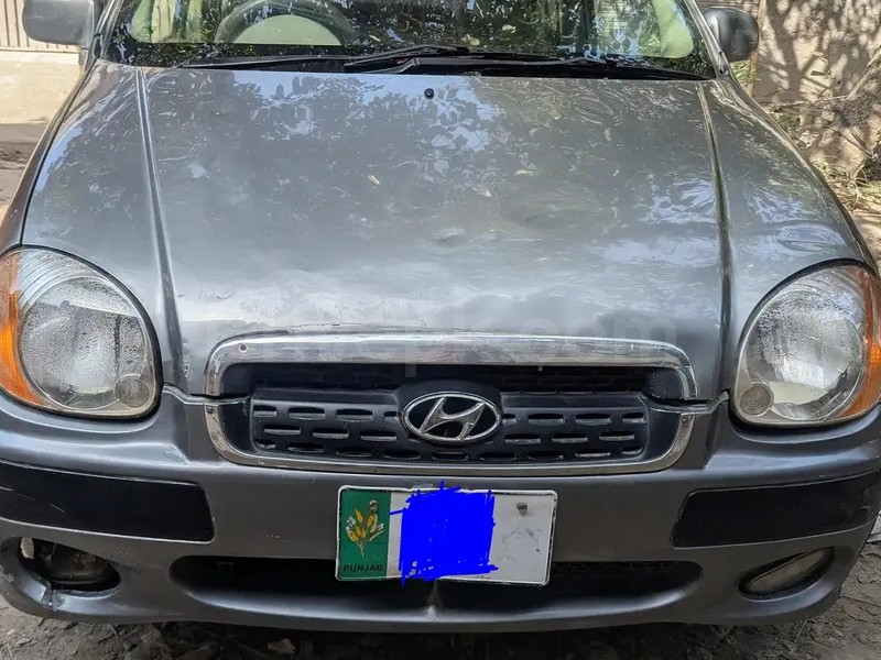 Hyundai Santro 2004