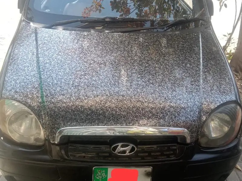 Hyundai Santro 2001