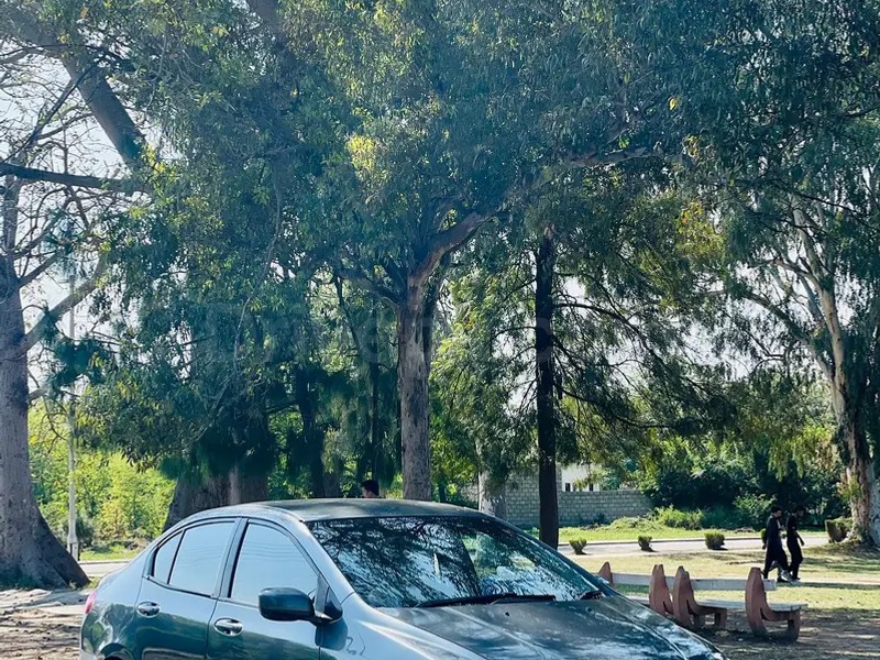 Honda Civic Prosmetic 2009