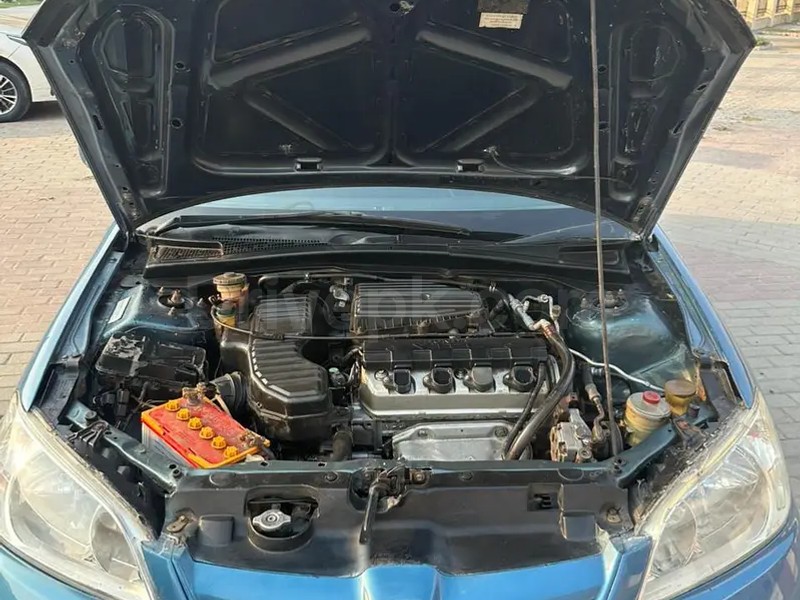 Gallery Image 4
