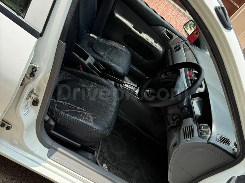 Gallery Image 4
