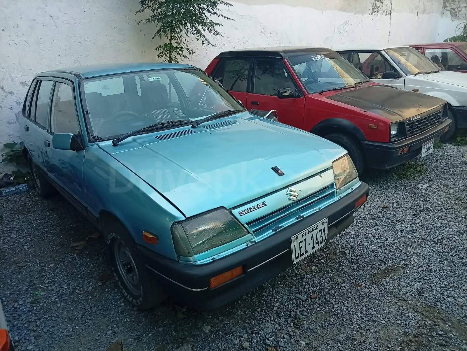 Gallery Image 2