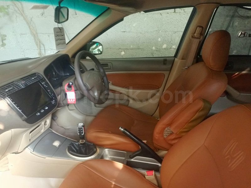 Gallery Image 4